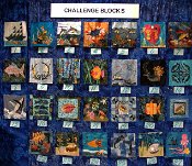 Challange P5020108